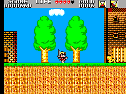 Super Wonder Boy - Monster World (Japan) In game screenshot